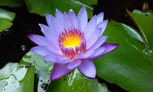 染发剂弄脸上怎么擦掉-染发剂搞到脸上要怎样除去网染发剂染在脸上怎么去除掉知识网站,分享染发剂弄到脸上怎么去掉大全